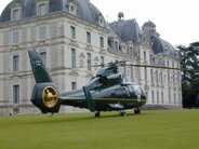 Dauphin au château de Cheverny