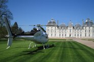 Ecureuil au château de Cheverny