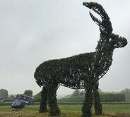 Vol VIP en hélicoptère au départ de Paris : Parc zoologique du Chateau de Thoiry 