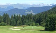 Golf en avion d'affaires