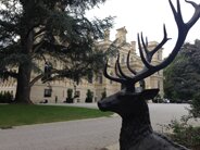 Vol VIP en hélicoptère au départ de Paris : Tour Paris - Château de Ferrières