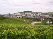 Excursion VIP au départ de Paris : la Champagne et ses vignobles