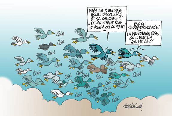 Location d'avions d'affaires - vols à la demande en jets privés